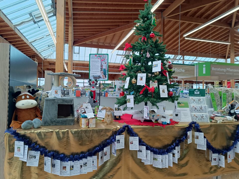 Dehner Weihnachtsbaum